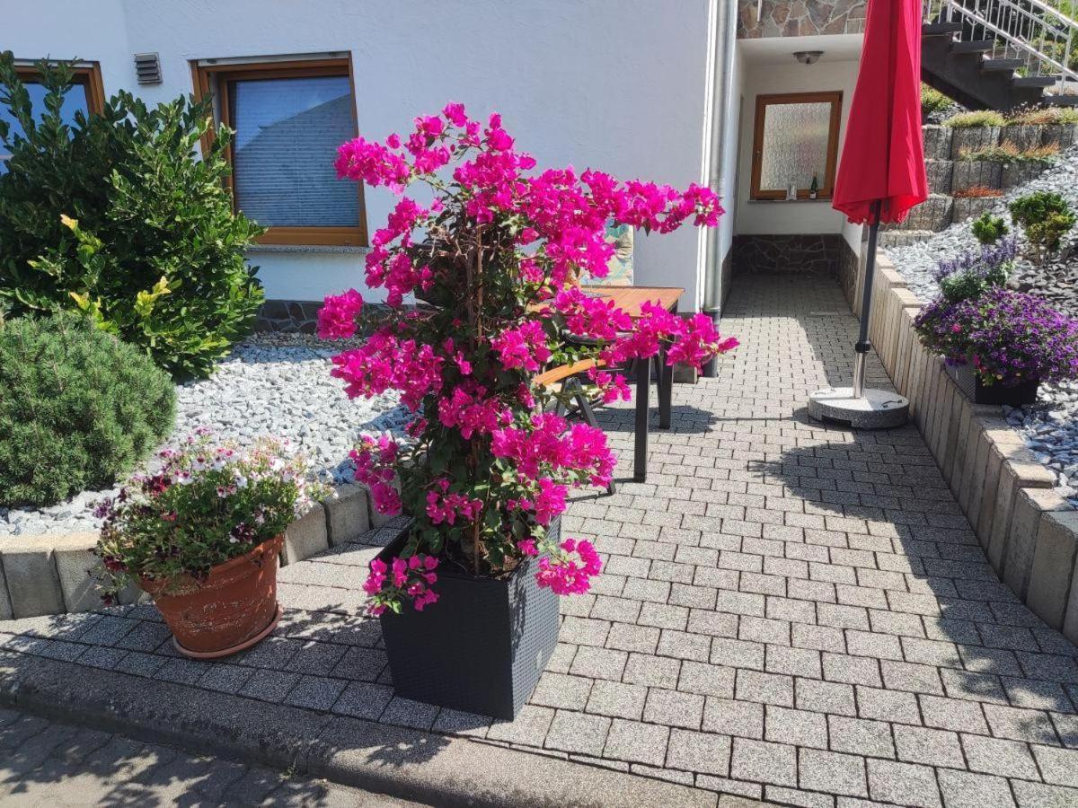 Ferienwohnung Moselzeit Alken Exterior photo